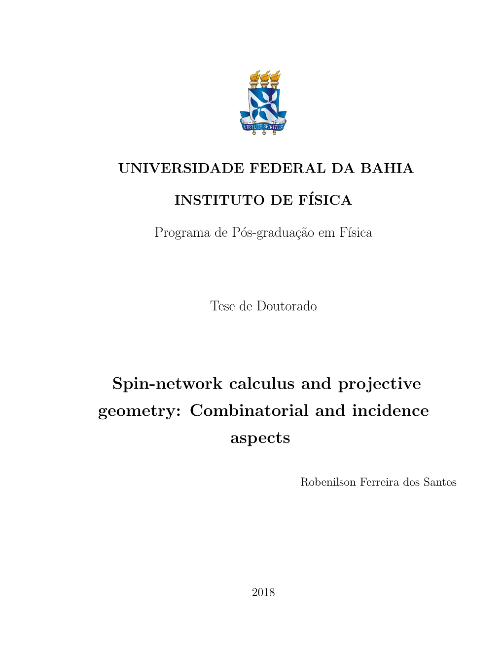 Spin-Network Calculus and Projective Geometry: Combinatorial and Incidence Aspects