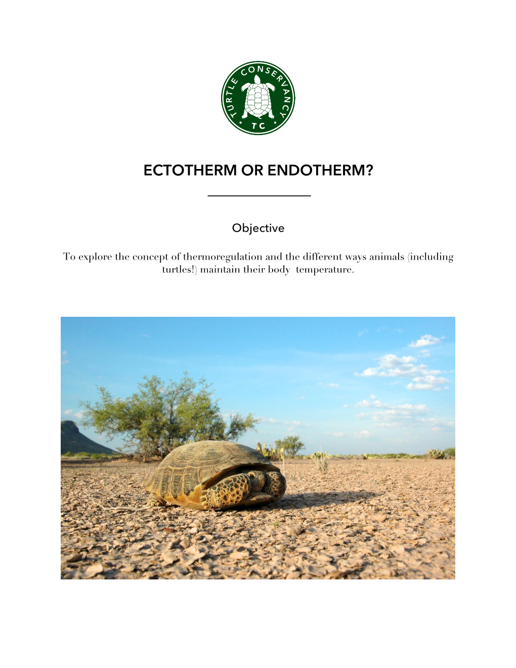 Ectotherm Or Endotherm?