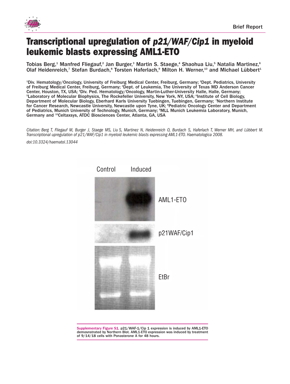 Transcriptional Upregulation of P21/WAF/Cip1 in Myeloid Leukemic Blasts Expressing AML1-ETO Tobias Berg,1 Manfred Fliegauf,2 Jan Burger,3 Martin S