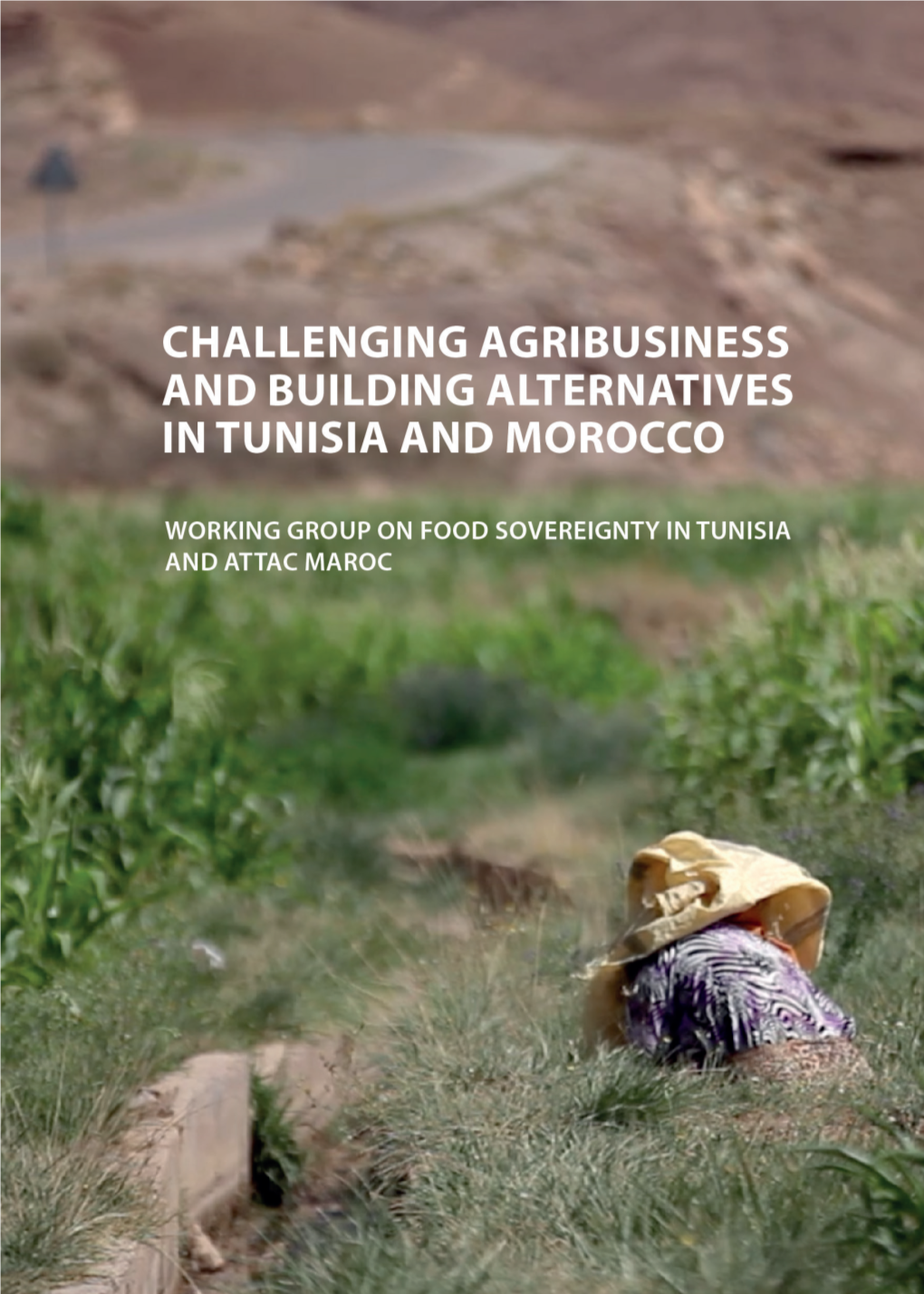 Challenging-Agribusiness-And-Building-Alternatives