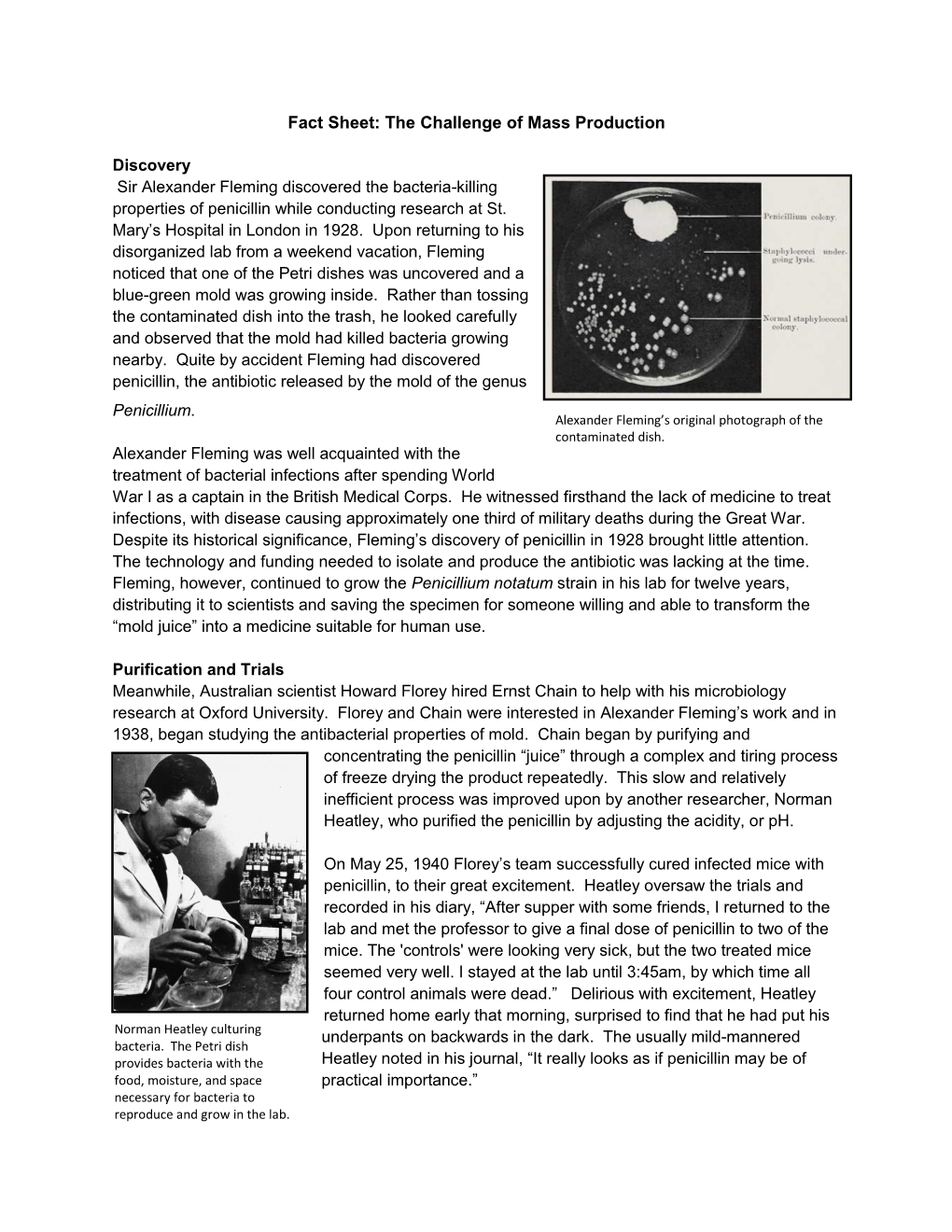 Fact Sheet: the Challenge of Mass Production