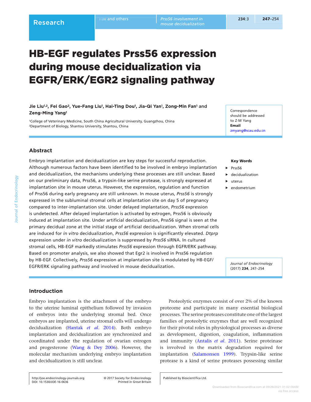 HB-EGF Regulates Prss56 Expression During Mouse Decidualization Via EGFR/ERK/EGR2 Signaling Pathway