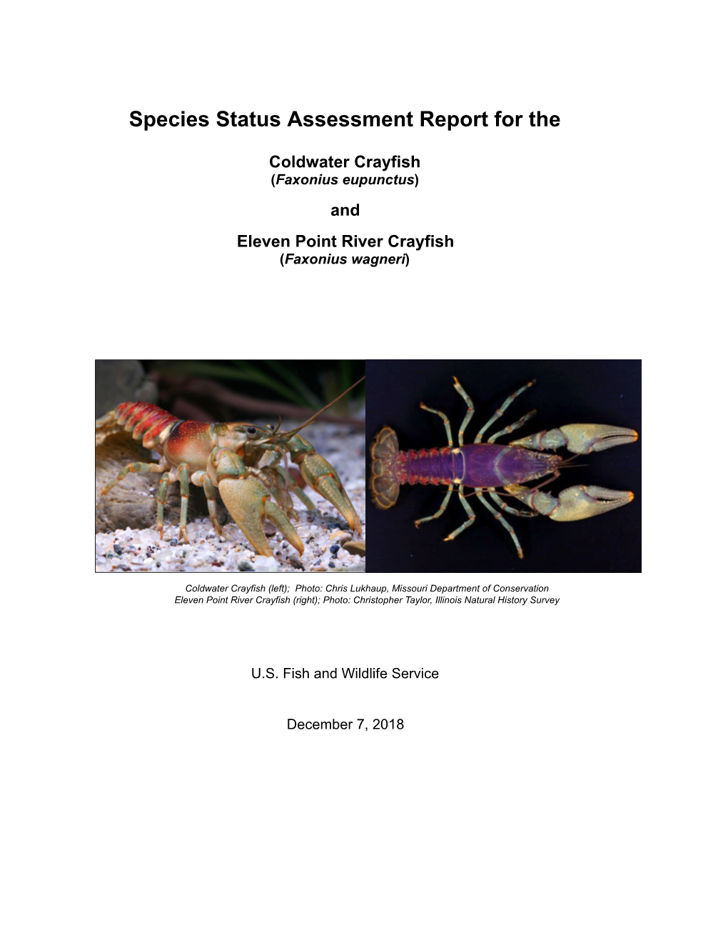 Species Status Assessment Report for The