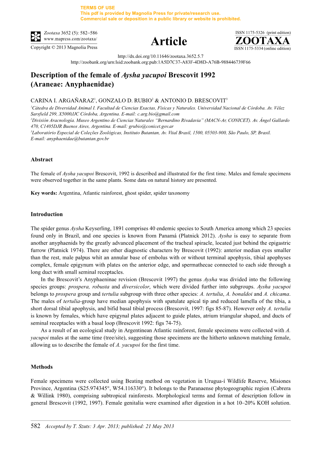 Description of the Female of Aysha Yacupoi Brescovit 1992 (Araneae: Anyphaenidae)