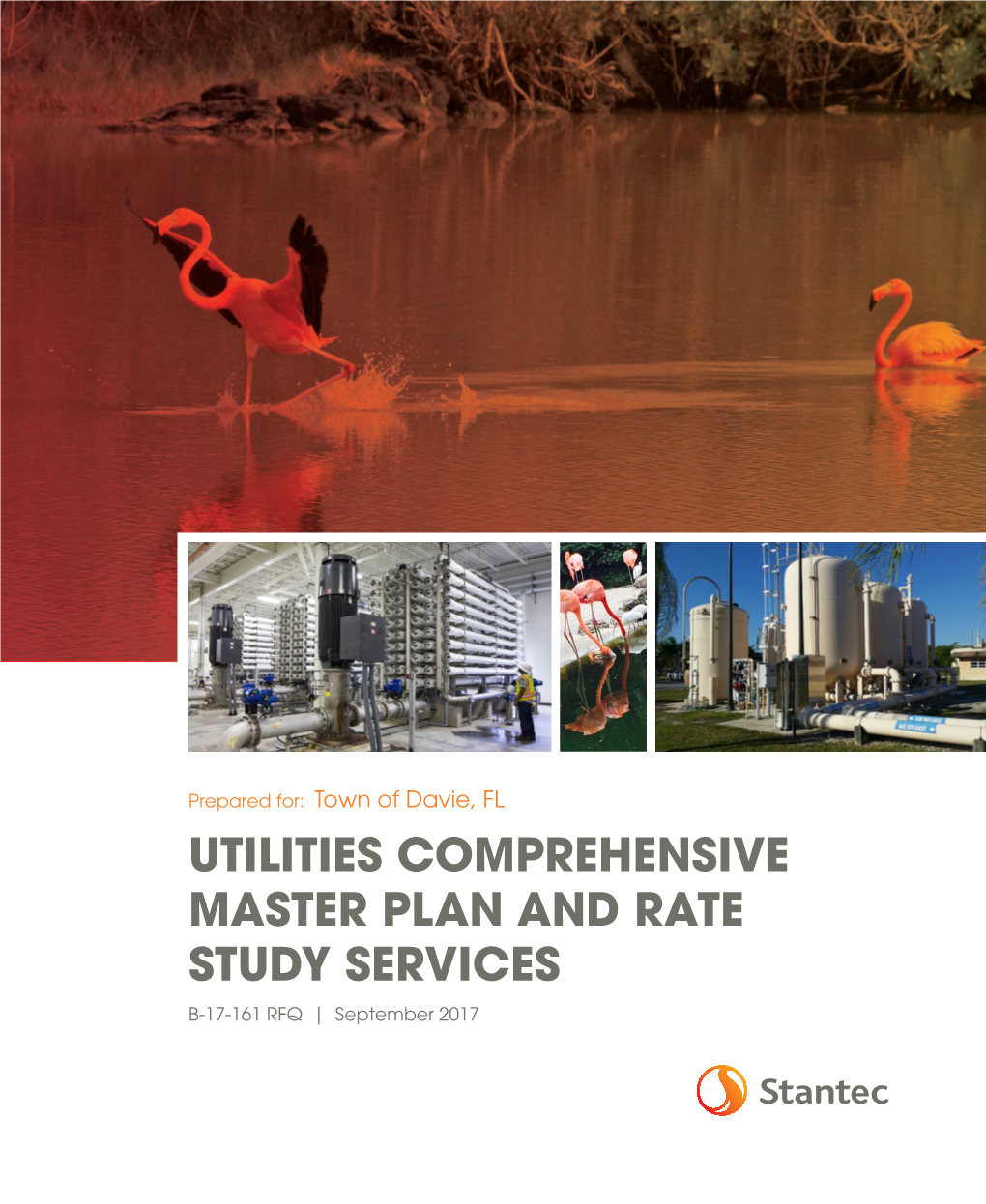 UTILITIES COMPREHENSIVE MASTER PLAN and RATE STUDY SERVICES B-17-161 RFQ | September 2017 Table of Contents Section 1 Section