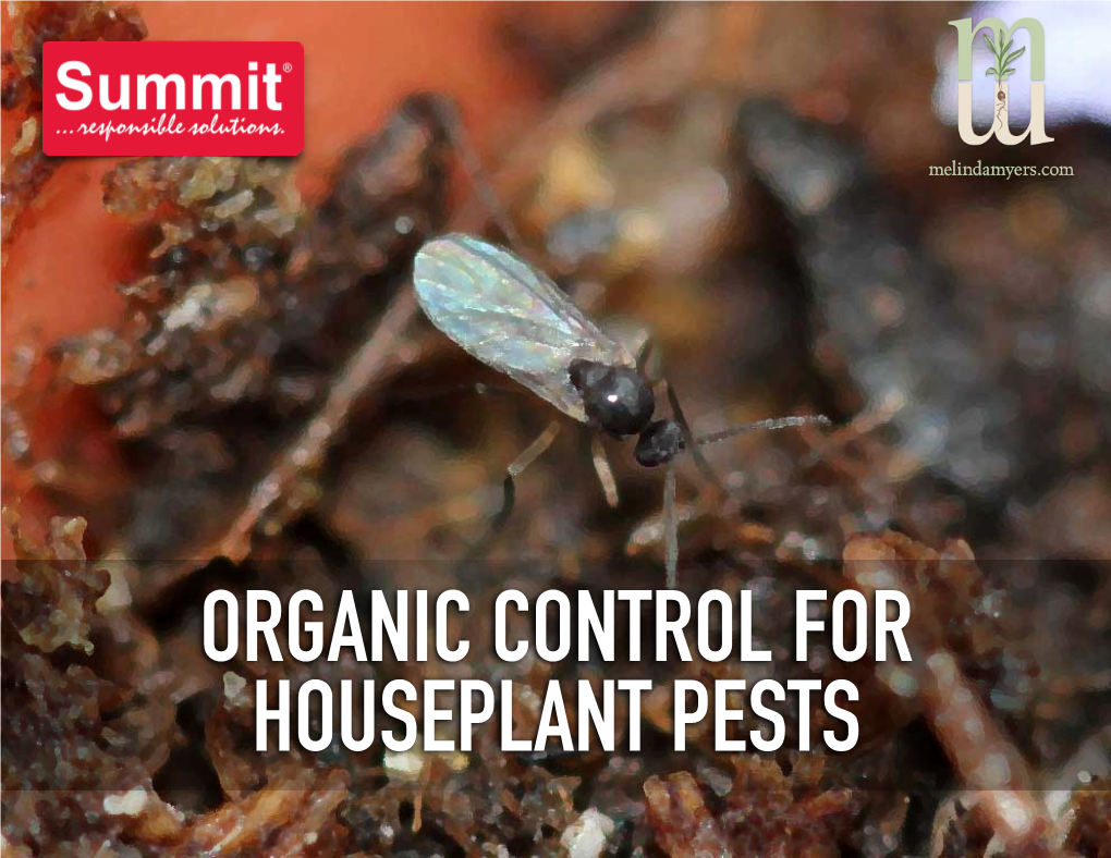 Organic Control for Houseplant Pests