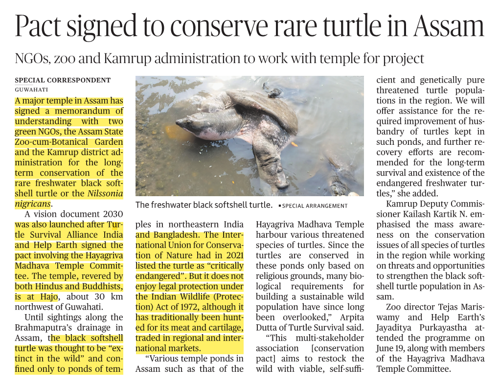 Pact Signed to Conserve Rare Turtle in Assam Ngos, Zoo and Kamrup Administration to Work with Temple for Project