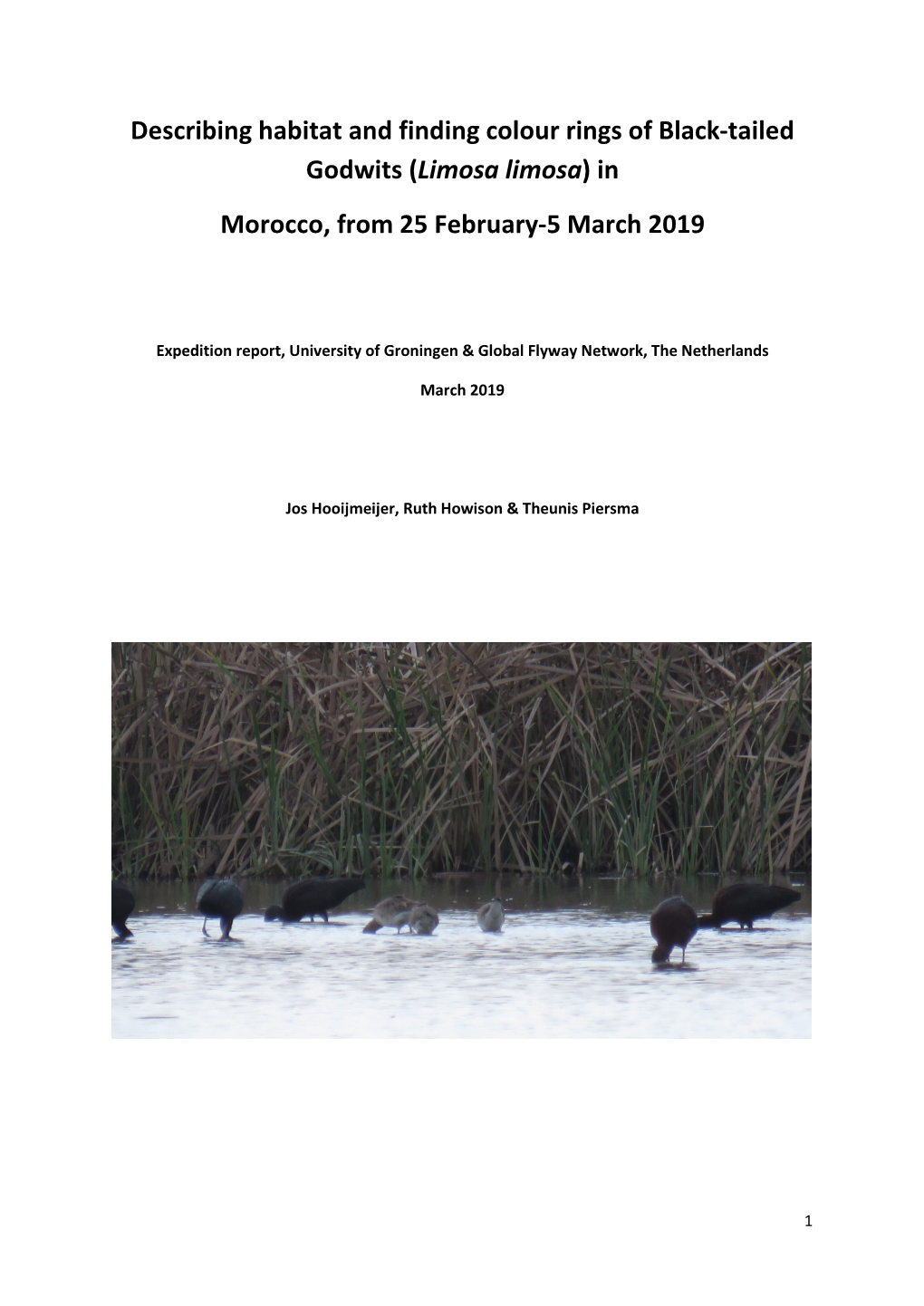 Describing Habitat and Finding Colour Rings of Black-Tailed Godwits (Limosa Limosa) in Morocco, from 25 February-5 March 2019