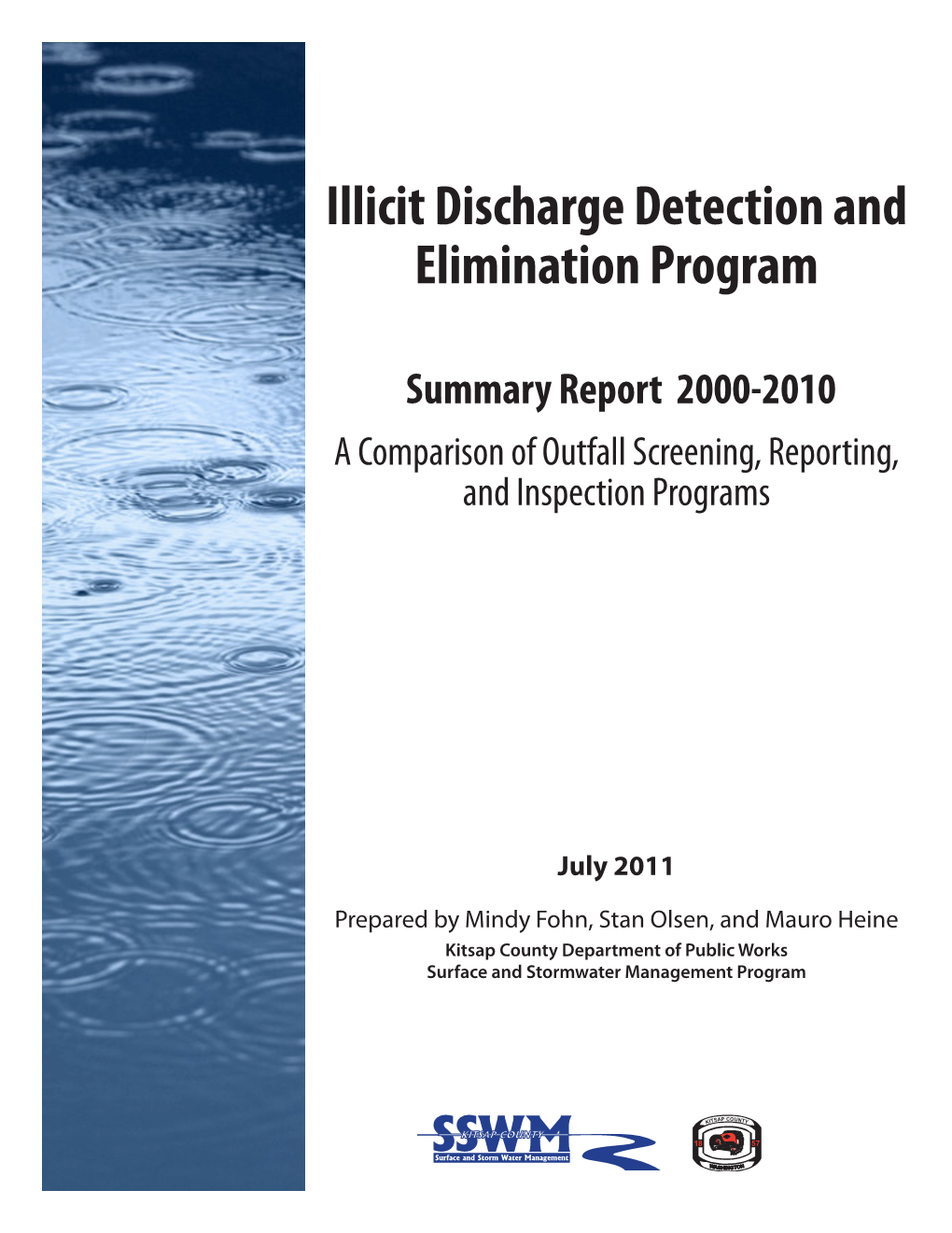 Outline for Summary IDDE Report