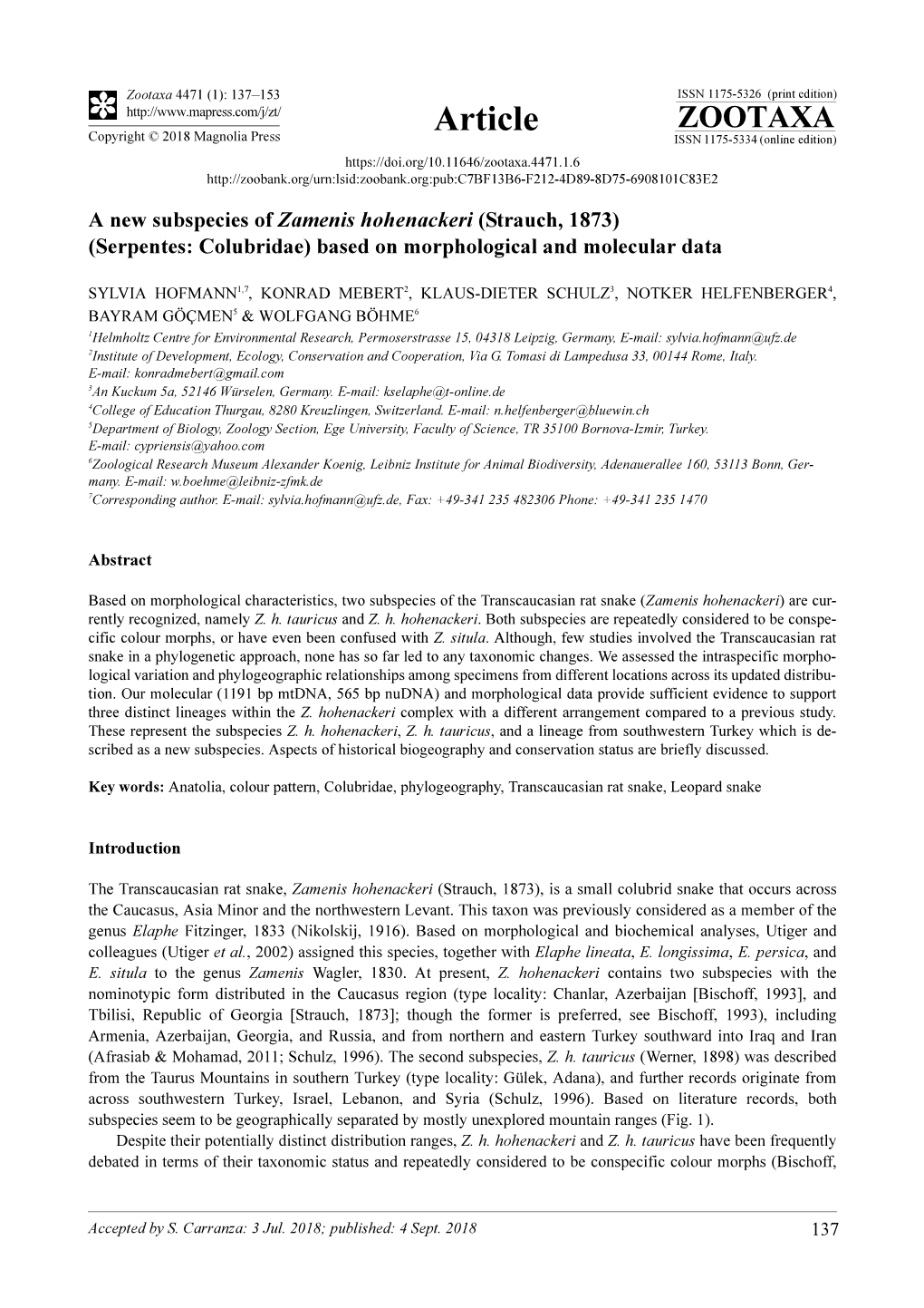 A New Subspecies of Zamenis Hohenackeri (Strauch, 1873) (Serpentes: Colubridae) Based on Morphological and Molecular Data