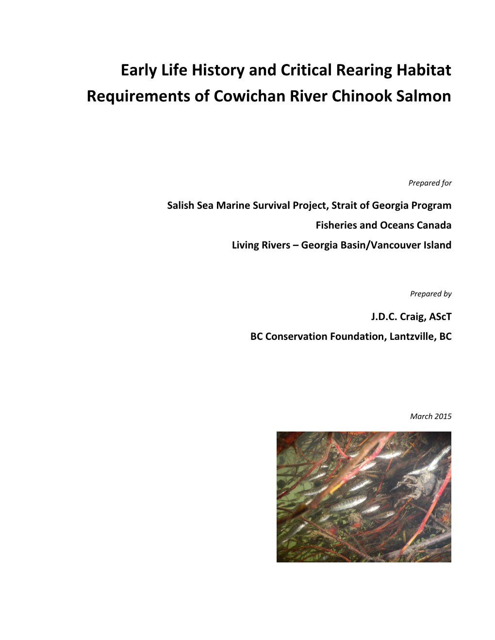 Early Life History and Critical Rearing Habitat Requirements of Cowichan River Chinook Salmon