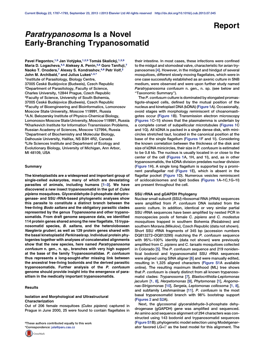 Paratrypanosoma Is a Novel Early-Branching Trypanosomatid