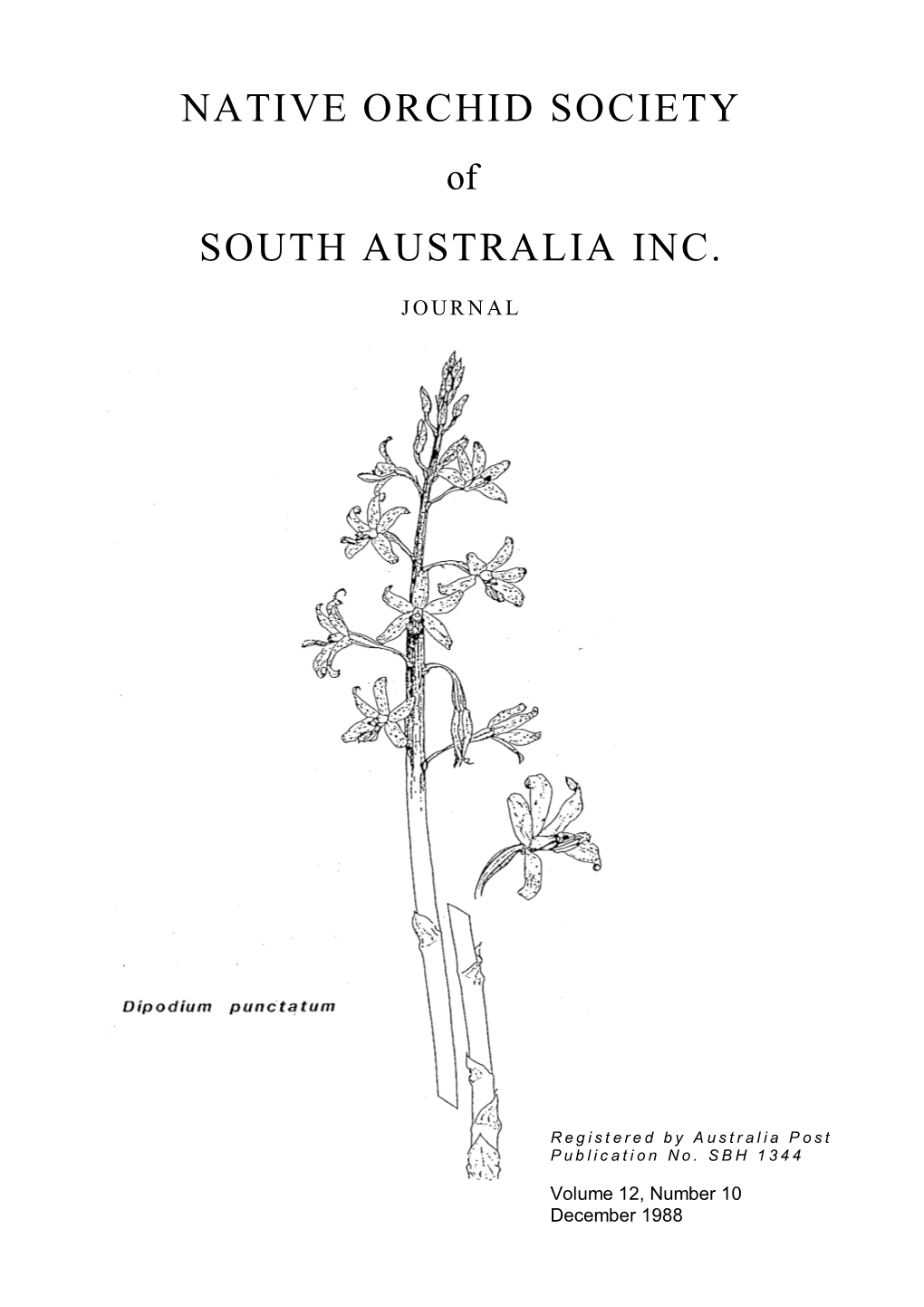 Native Orchid Society South Australia Inc