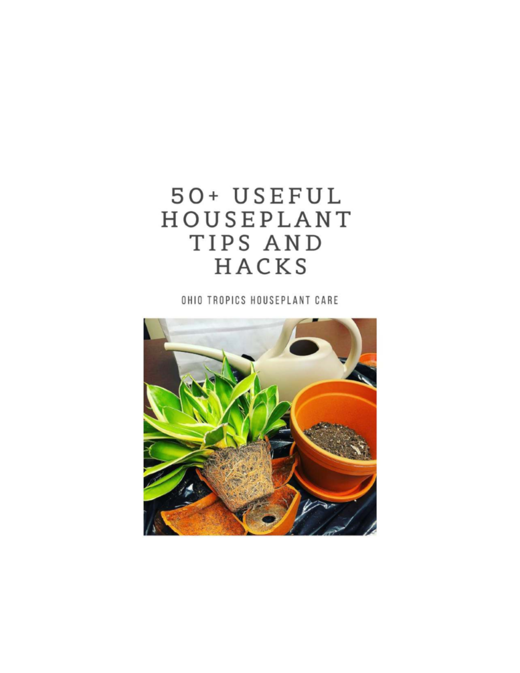 Top 55 Houseplant Hack Ebook