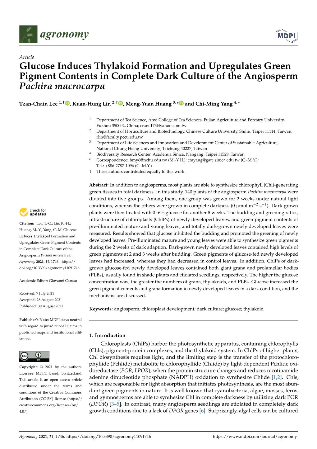 Glucose Induces Thylakoid Formation and Upregulates Green Pigment Contents in Complete Dark Culture of the Angiosperm Pachira Macrocarpa