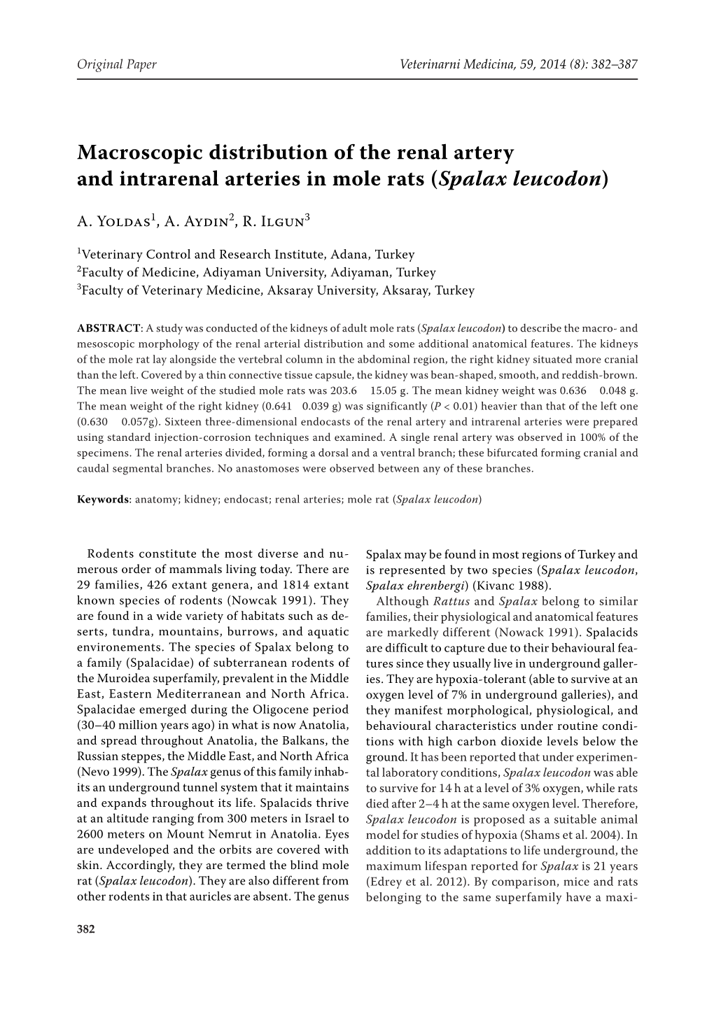 Macroscopic Distribution of the Renal Artery and Intrarenal Arteries in Mole Rats (Spalax Leucodon)