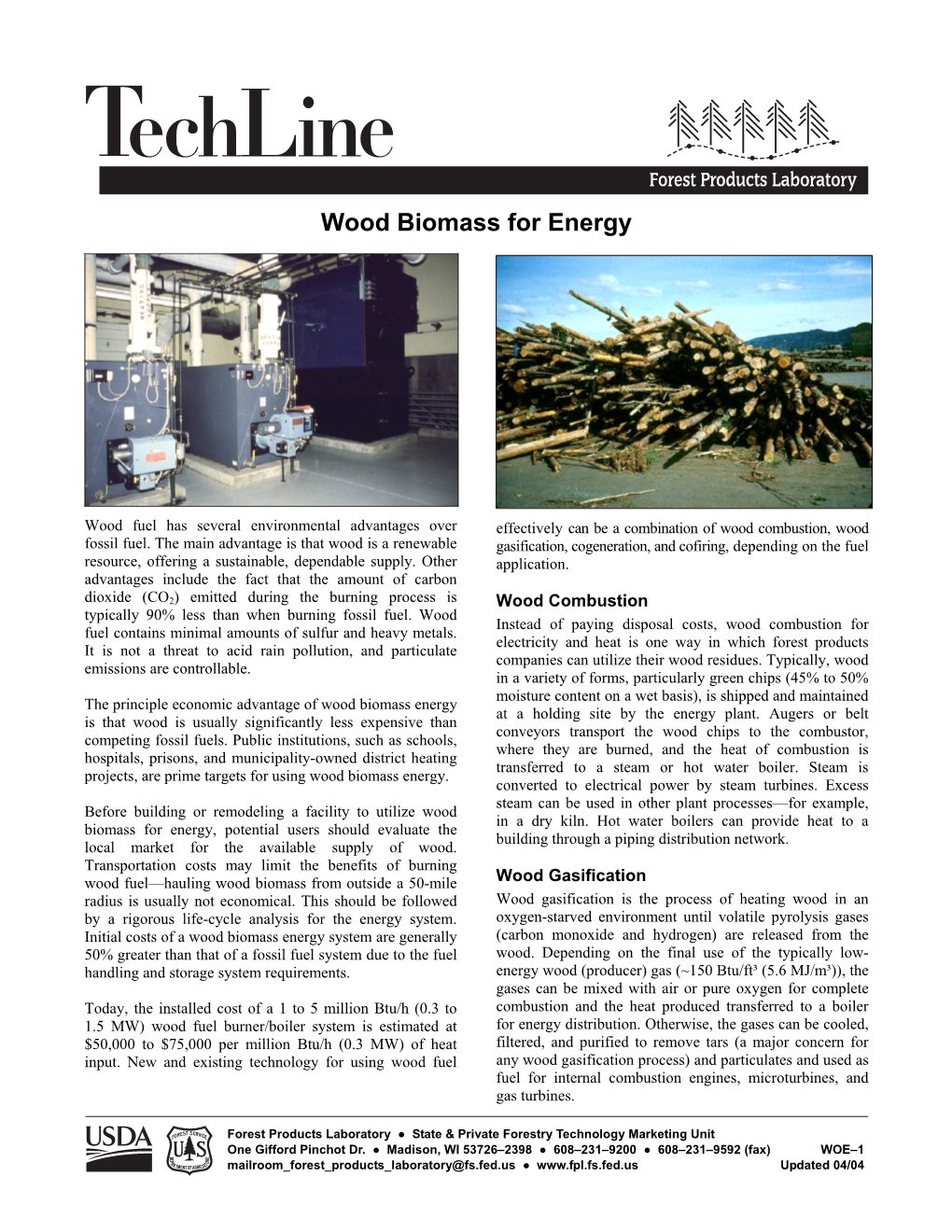 Wood Biomass for Energy