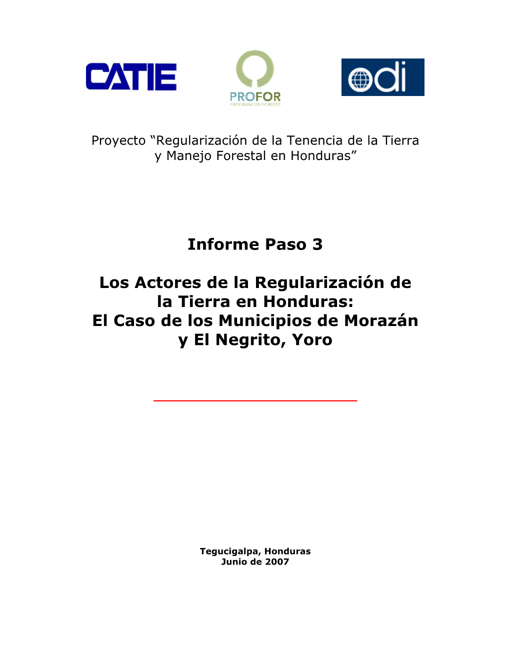 Informe Paso 3 Los Actores De La Regularización De La Tierra