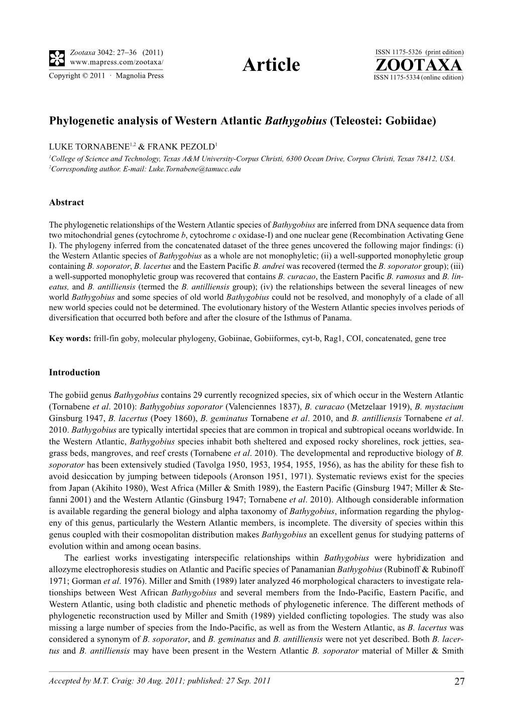 Phylogenetic Analysis of Western Atlantic Bathygobius (Teleostei: Gobiidae)