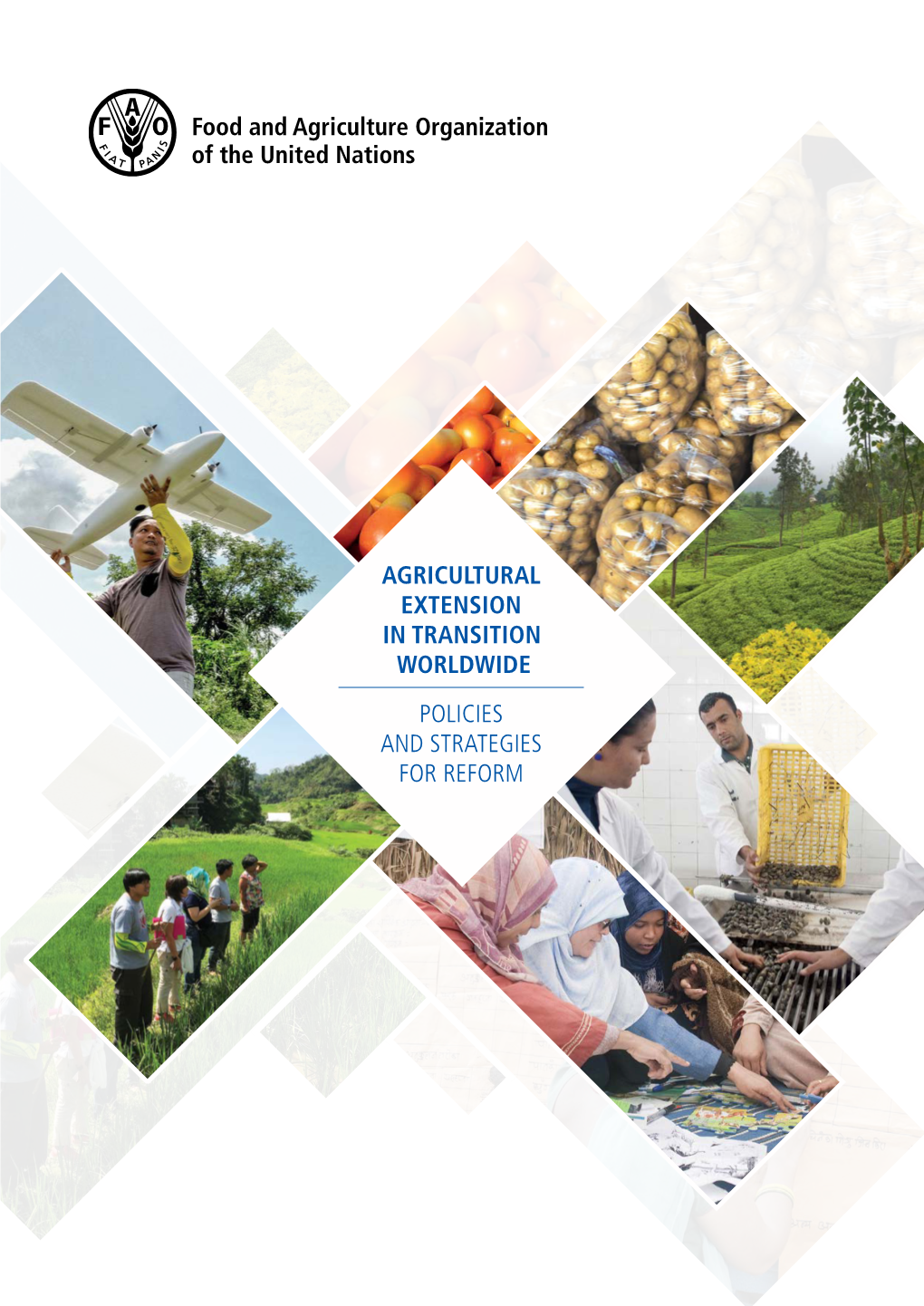 Agricultural Extension in Transition Worldwide Policies and Strategies for Reform