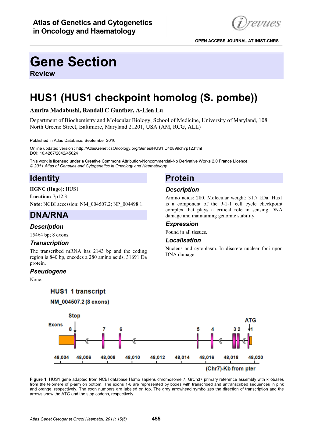 Gene Section Review