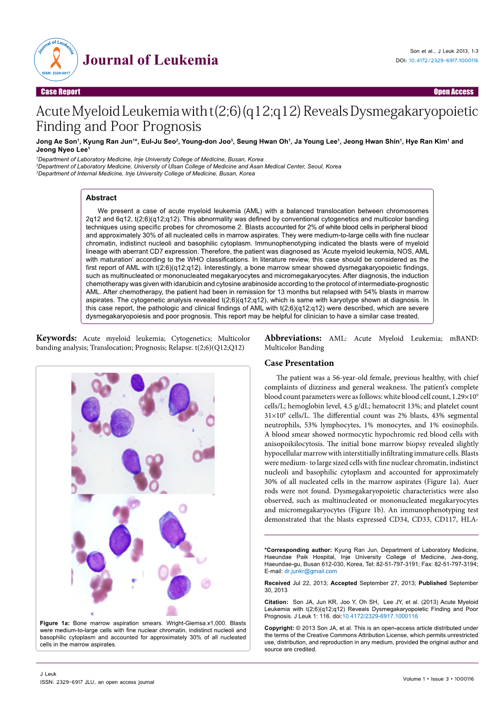 Acute Myeloid Leukemia with T(2;6)