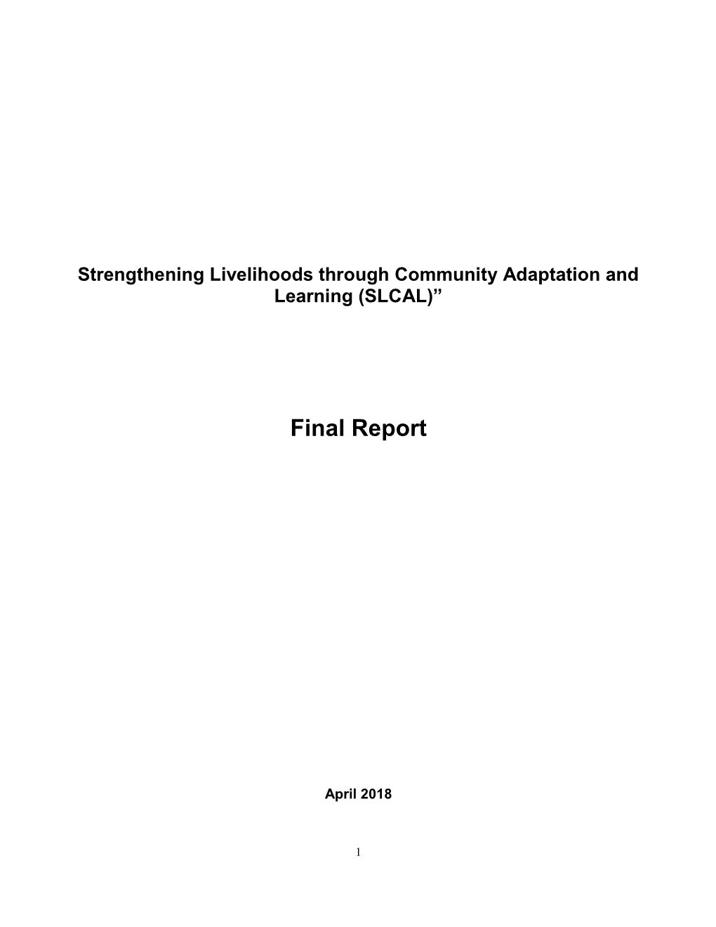 Final Report