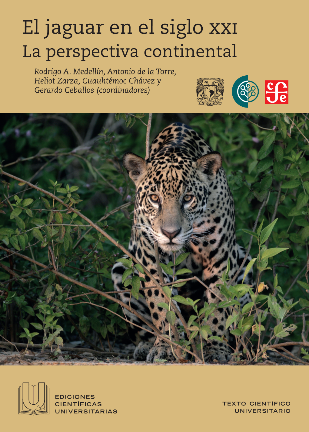 El Jaguar En El Siglo Xxi: La Perspectiva Continental, Por Su Cordial Invitación a Participar En Esta Iniciativa En Mérida, México