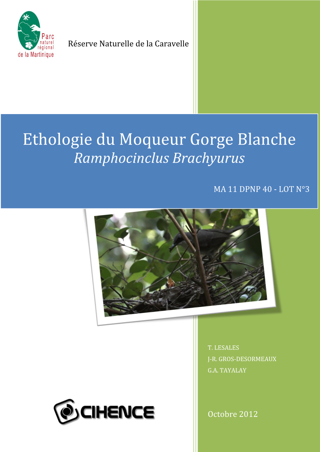 Octobre 2012 Ethologie Du Moqueur Gorge Blanche