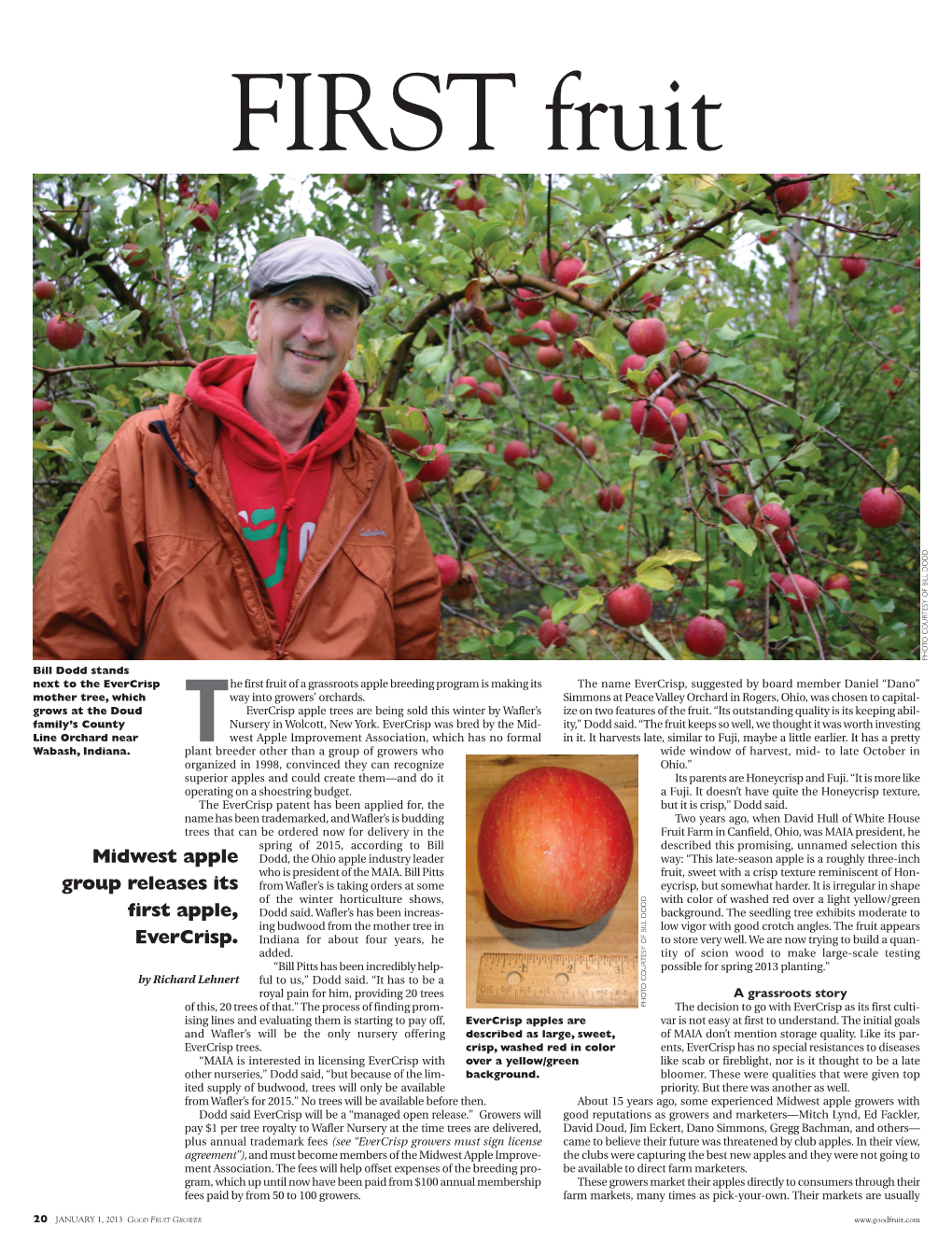 Midwest Apple Group Releases Its First Apple, Evercrisp