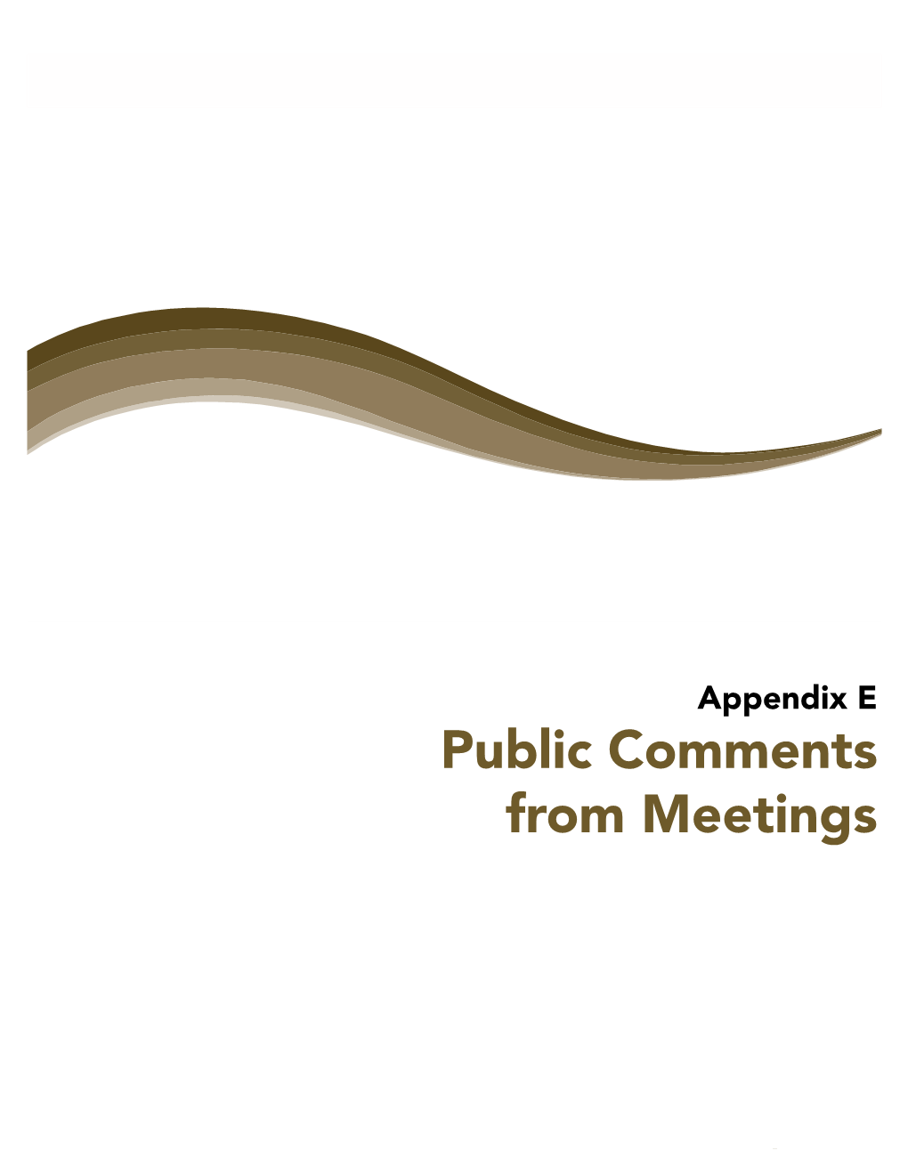 Public Comments from Meetings Appendix E