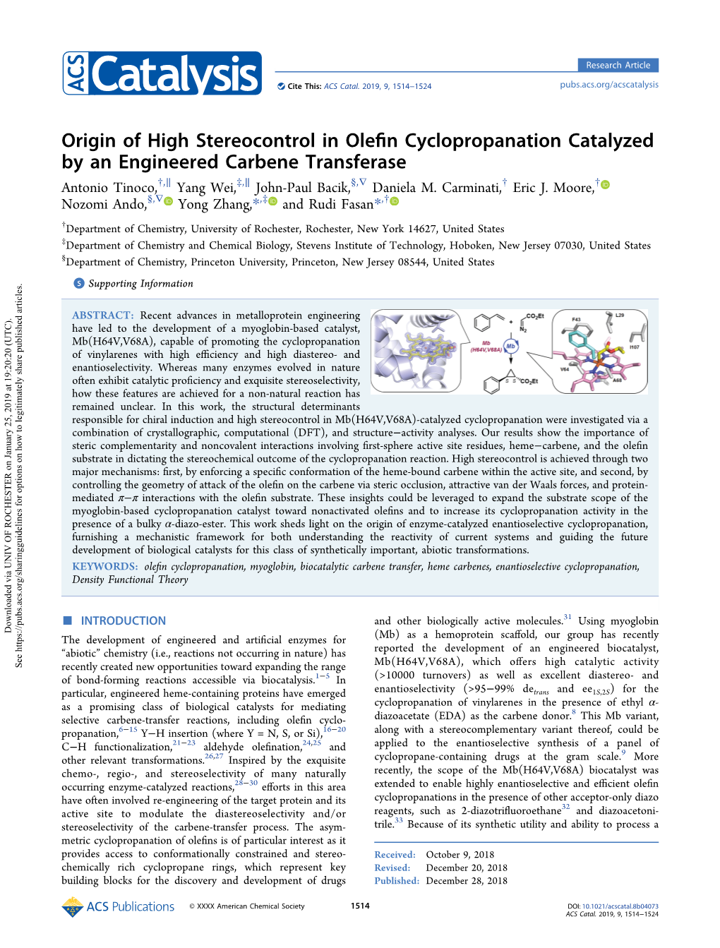 Origin of High Stereocontrol in Olefin Cyclopropanation Catalyzed by An