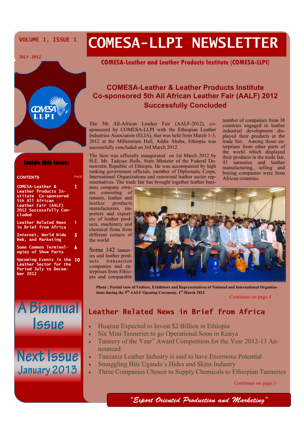 Comesa-Llpi Newsletter Revised.Pub