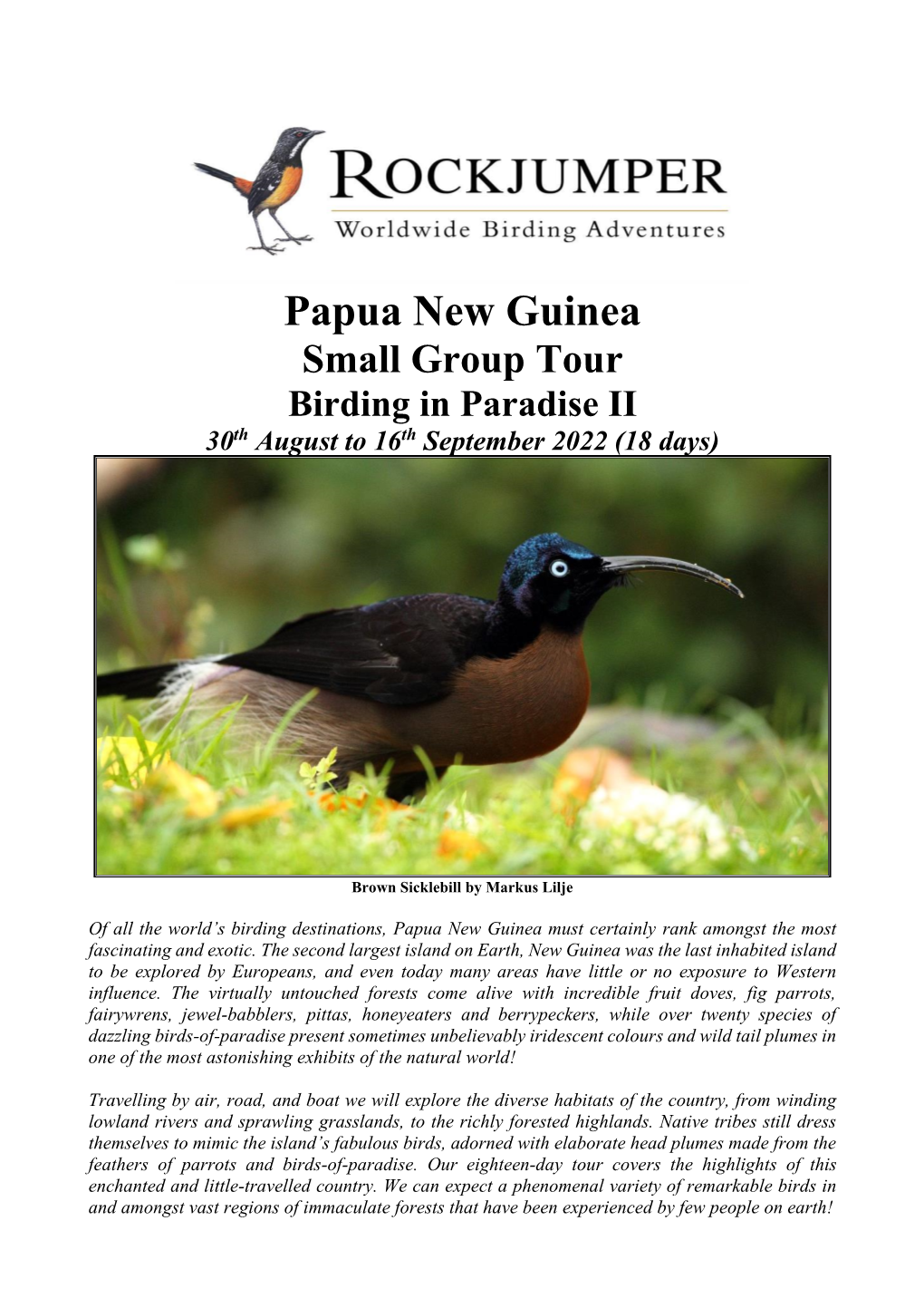 Papua New Guinea Small Group Tour Birding in Paradise II 30Th August to 16Th September 2022 (18 Days)