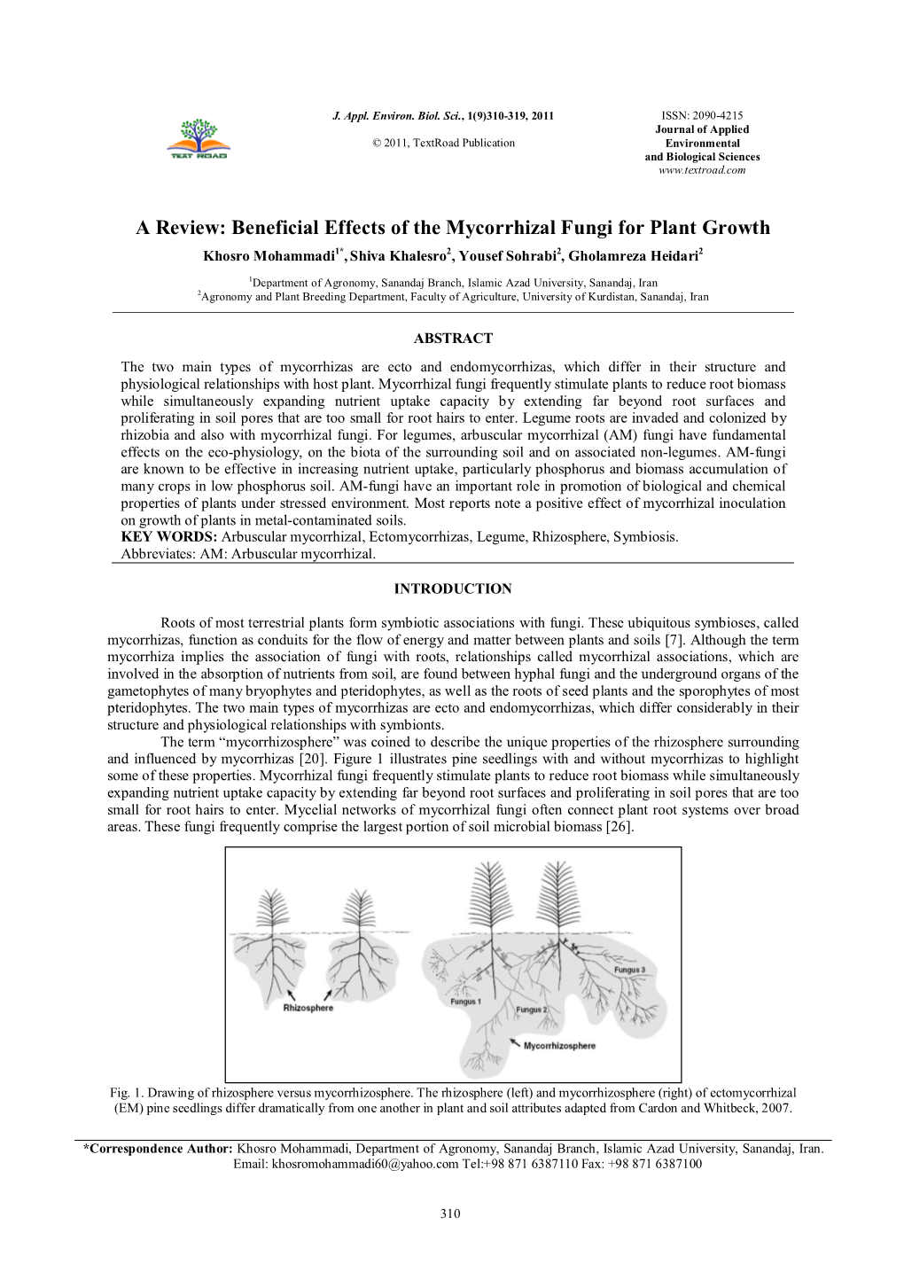 A Review: Beneficial Effects of the Mycorrhizal Fungi for Plant Growth