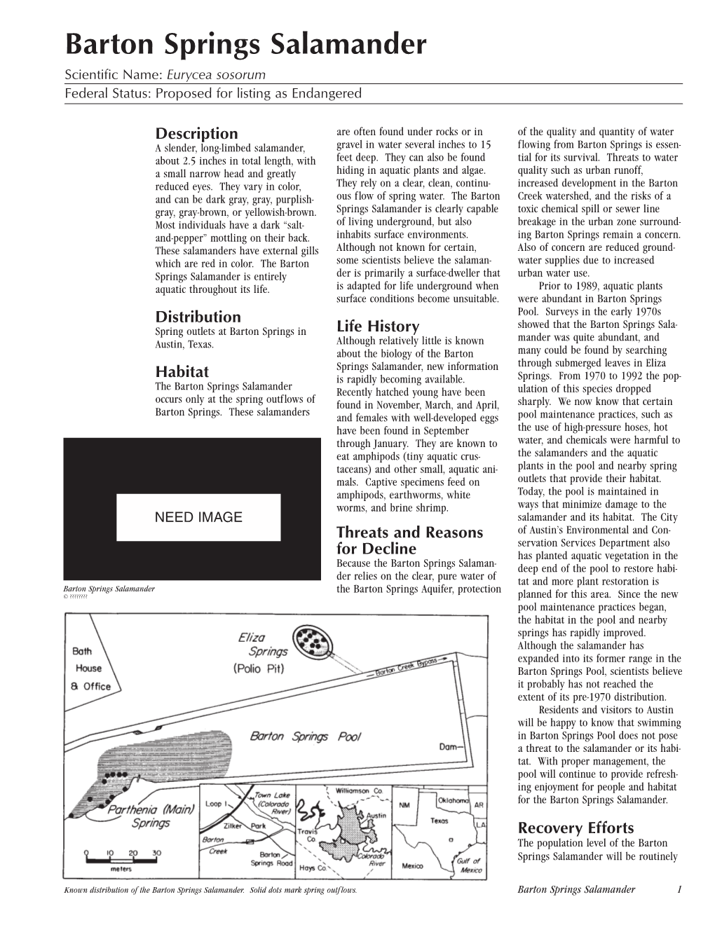 Barton Springs Salamander Scientific Name: Eurycea Sosorum Federal Status: Proposed for Listing As Endangered