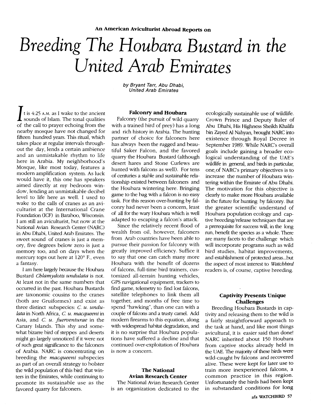 Breeding the Houbara Bustard in the United Arab Emirates