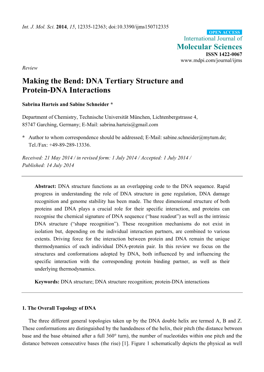 DNA Tertiary Structure and Protein-DNA Interactions