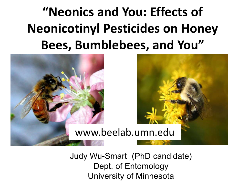 Neonics and You: Effects of Neonicotinyl Pesticides on Honey Bees, Bumblebees, and You”