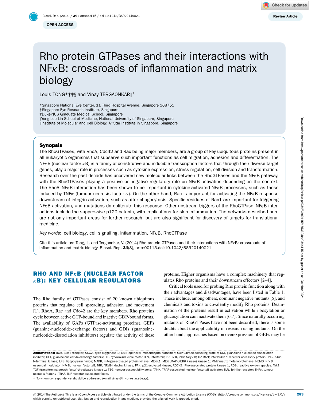 Rho Protein Gtpases and Their Interactions with Nfκb: Crossroads of Inﬂammation and Matrix Biology