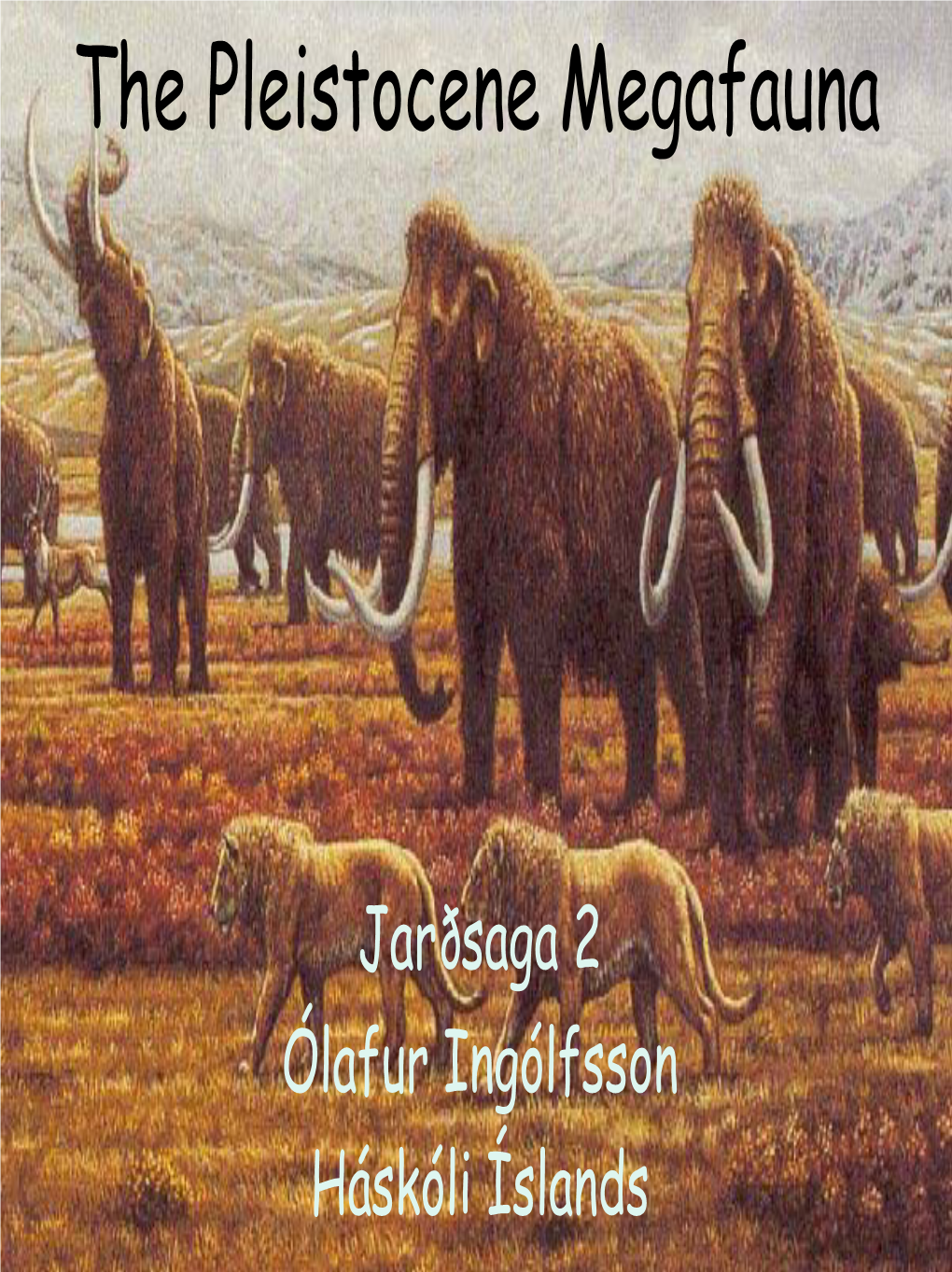 The Pleistocene Megafauna