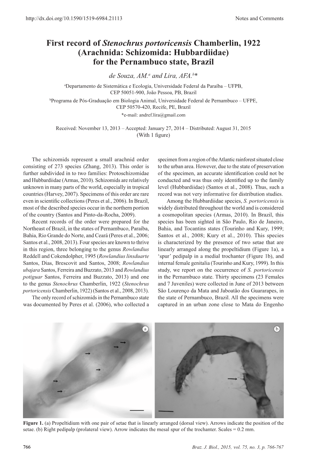 First Record of Stenochrus Portoricensis Chamberlin, 1922 (Arachnida: Schizomida: Hubbardiidae) for the Pernambuco State, Brazi