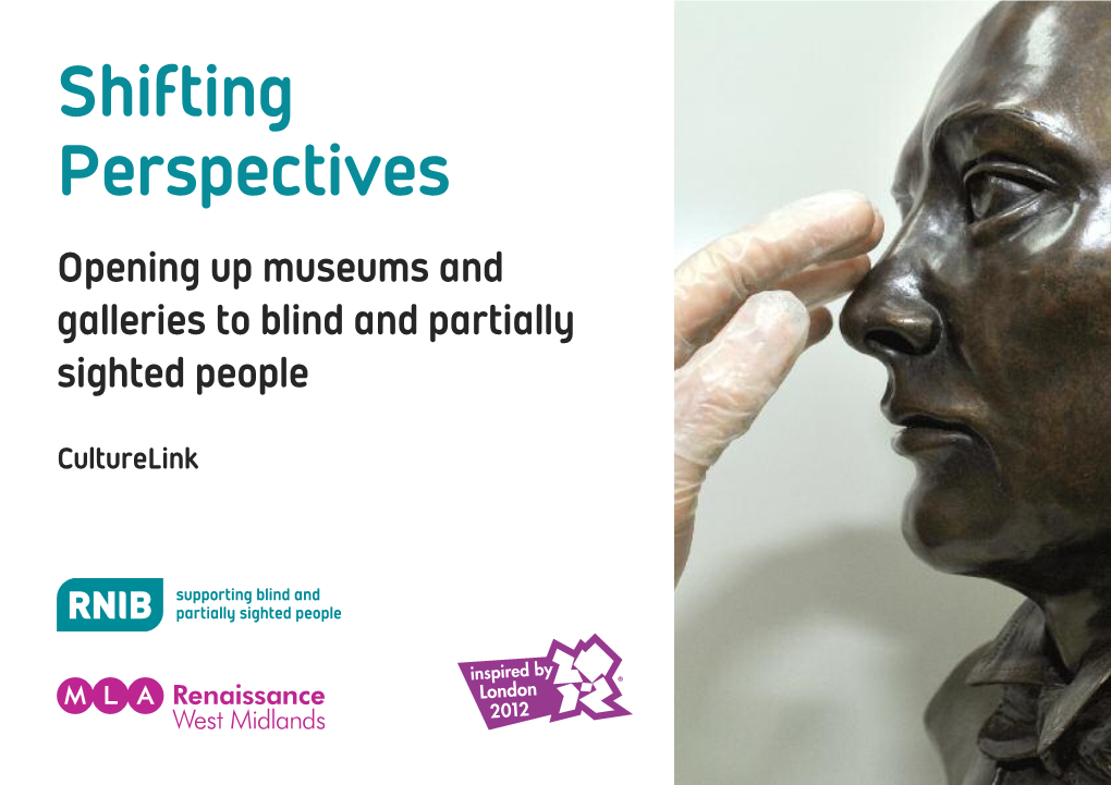 RNIB Shifting Perspectives