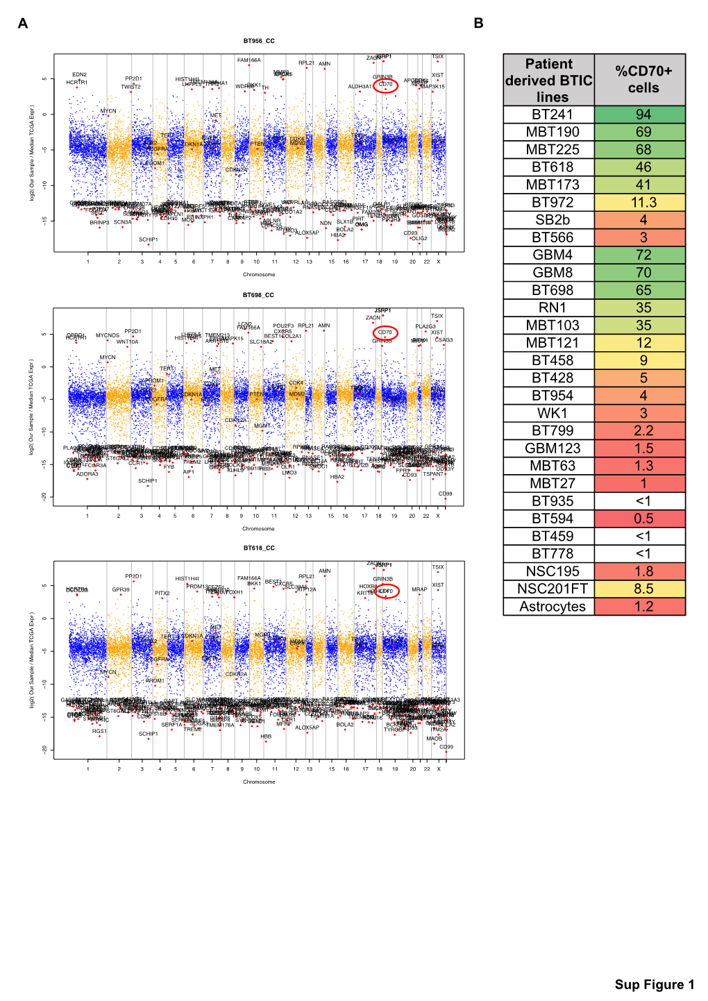 Patient Derived BTIC Lines %CD70+ Cells BT241 94 MBT190 69