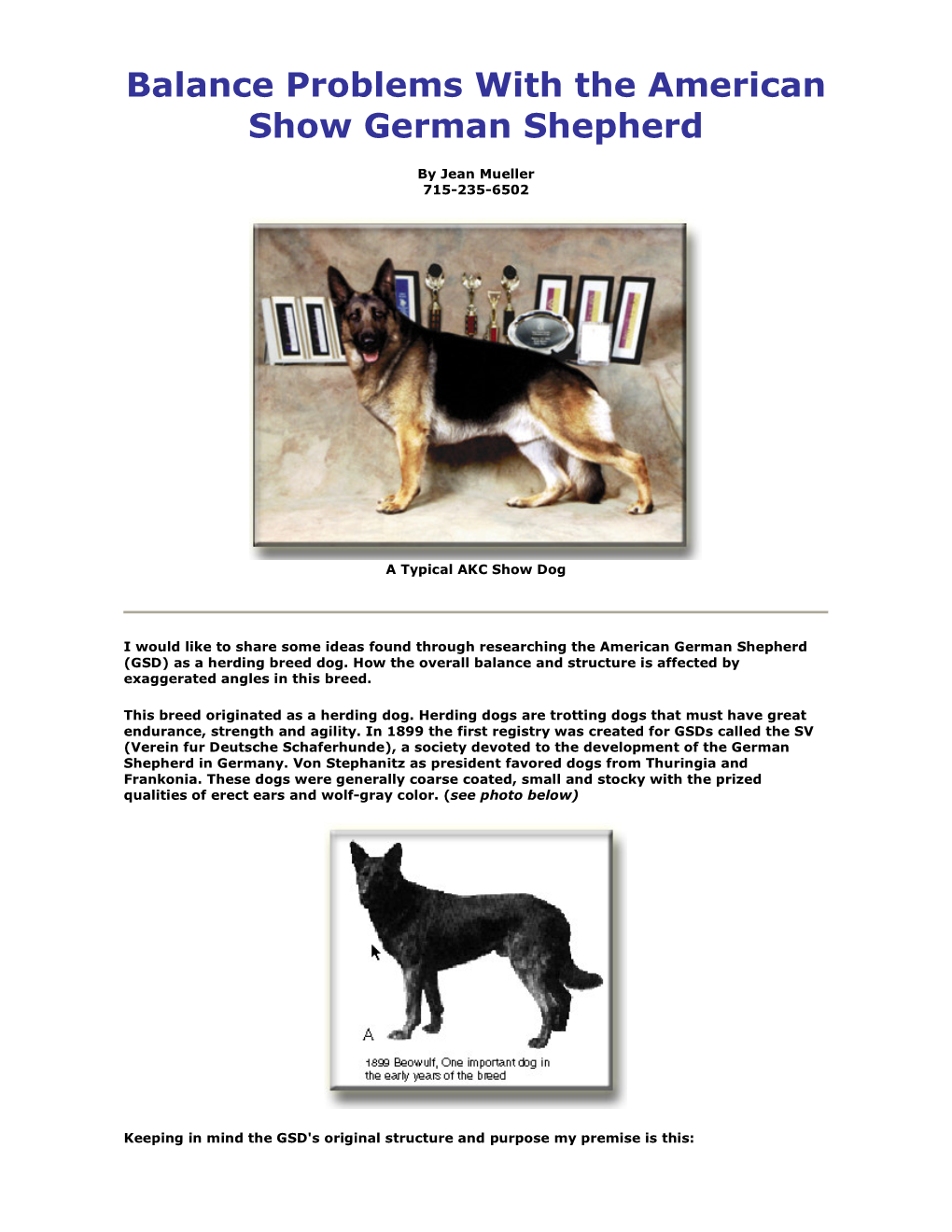 Balance Problems with the American Show German Shepherd