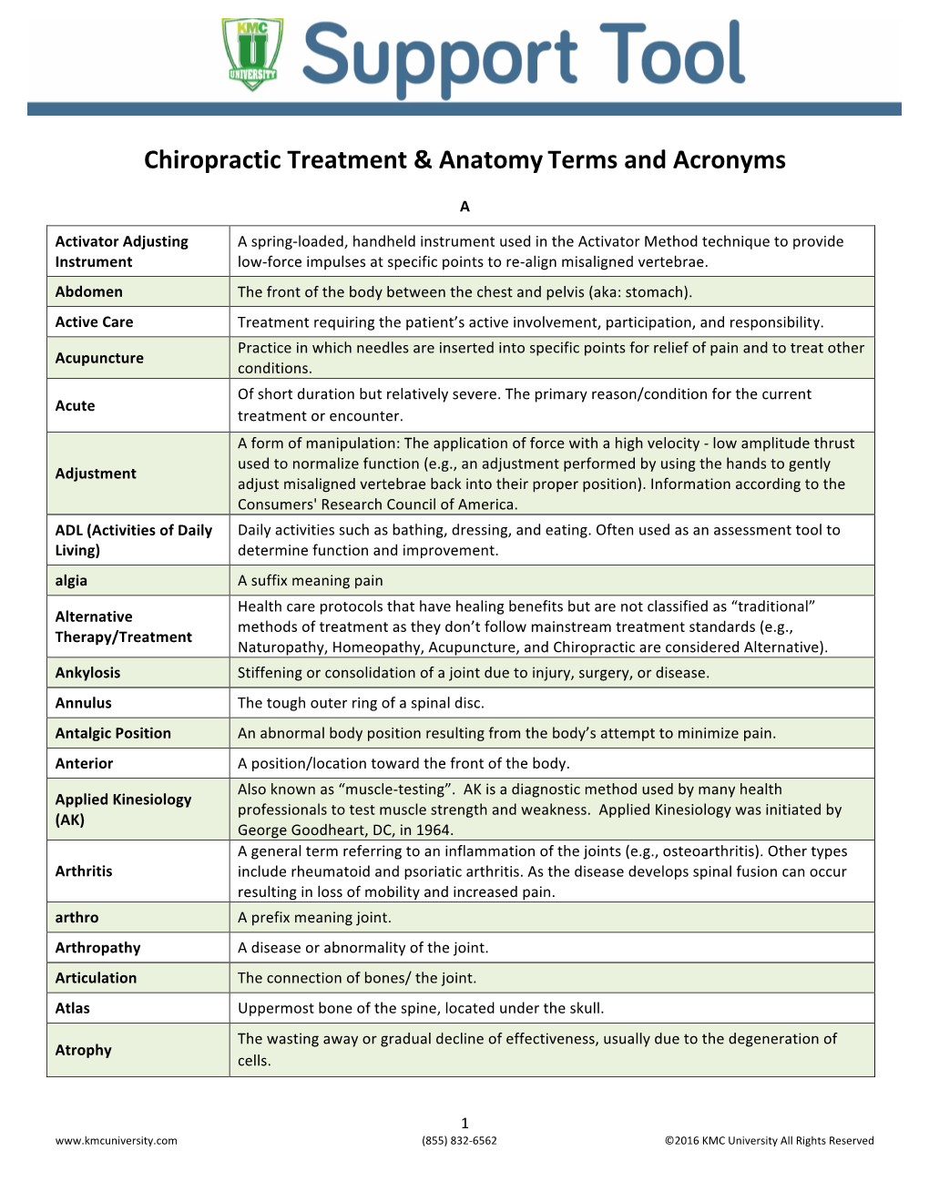 Chiropractic Treatment & Anatomy Terms and Acronyms