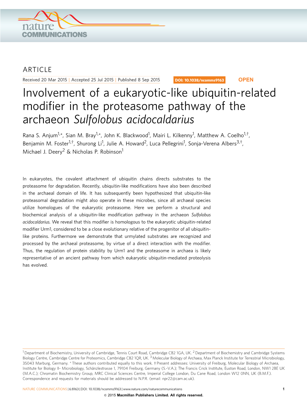 Involvement of a Eukaryotic-Like Ubiquitin-Related Modifier