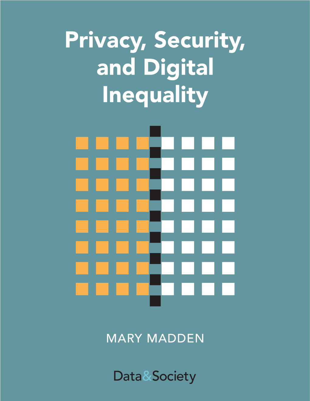 Privacy, Security, and Digital Inequality