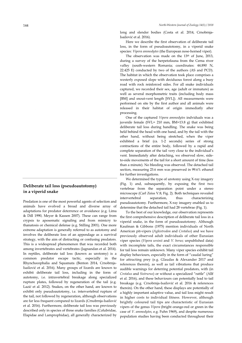 Deliberate Tail Loss (Pseudoautotomy) in a Viperid Snake