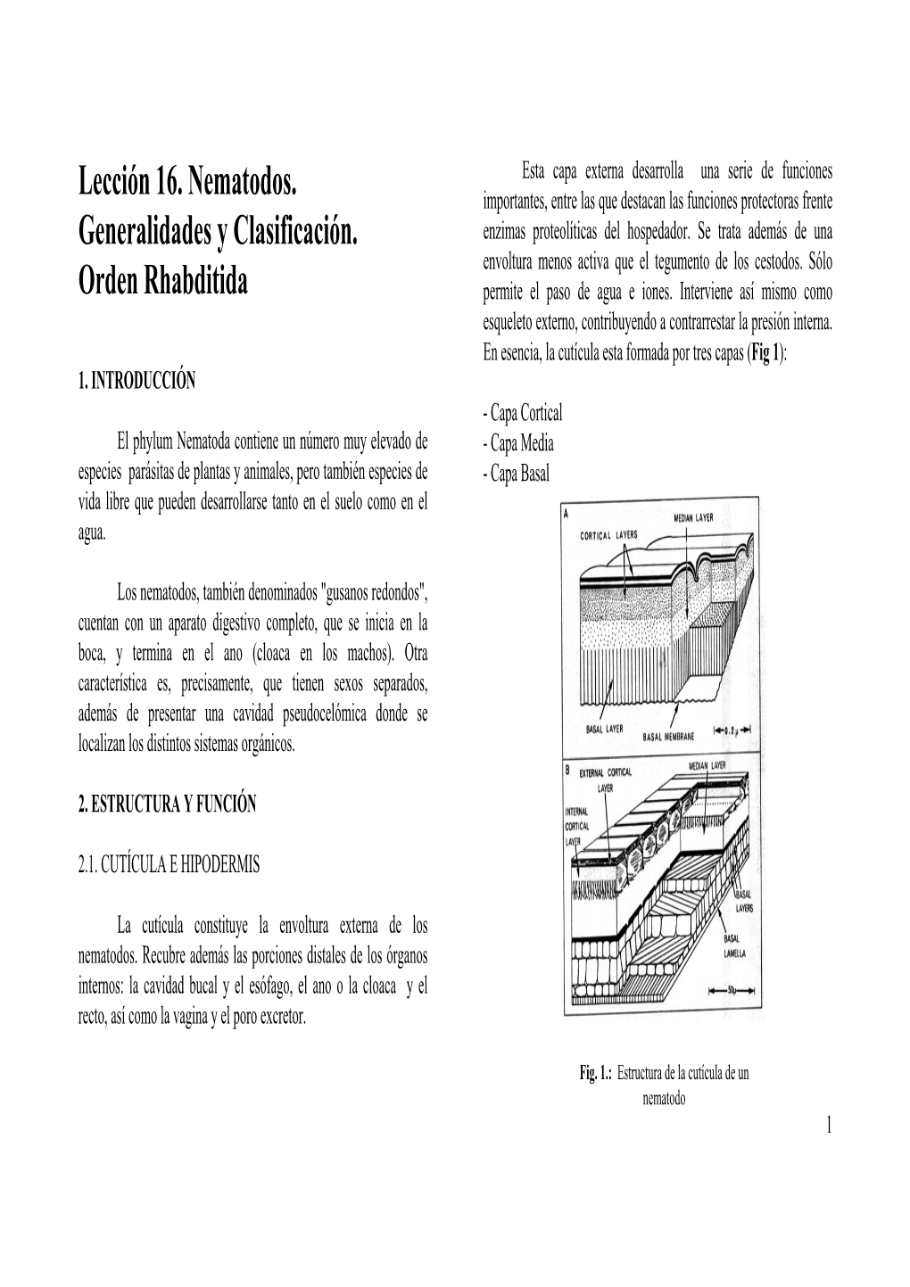 Lección 16. Nematodos. Generalidades Y Clasificación